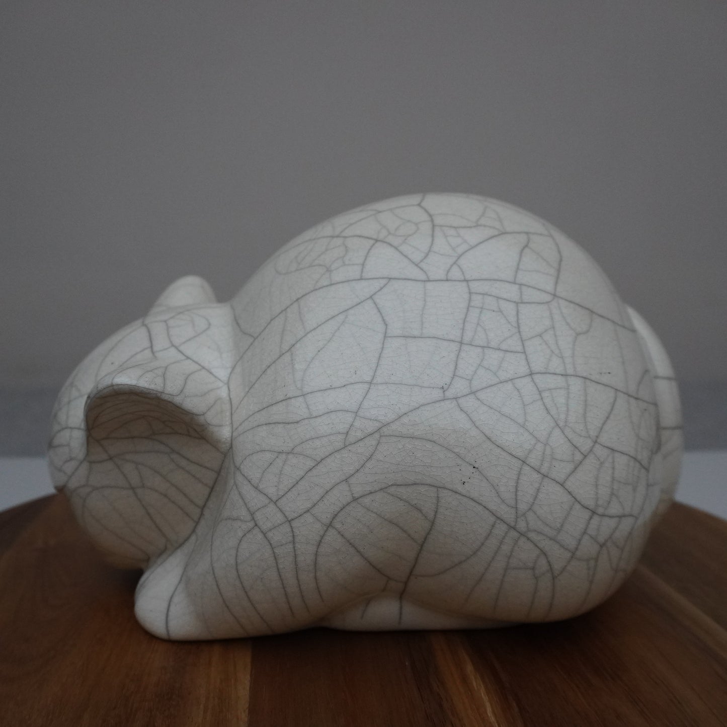 White Crackled Cat (SKU:24040103)