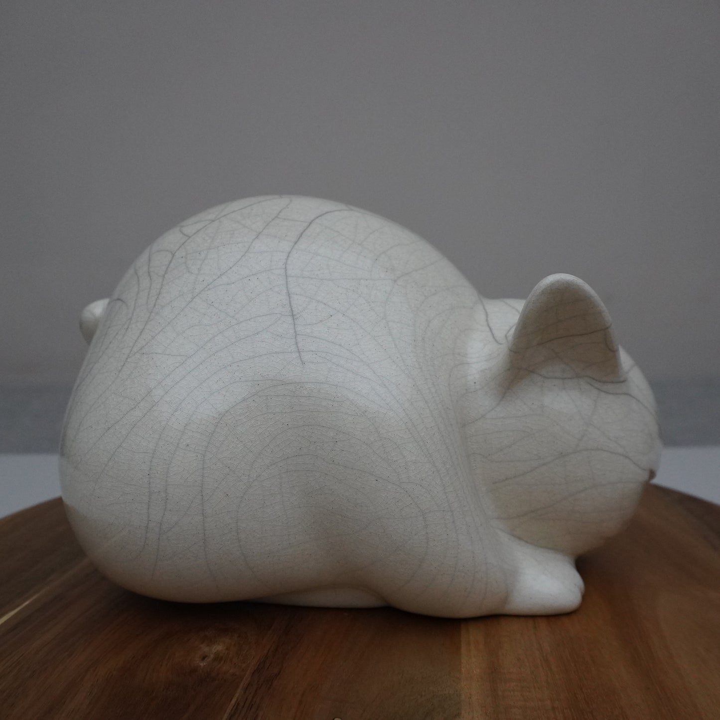 White Crackled Cat (SKU:24040103)